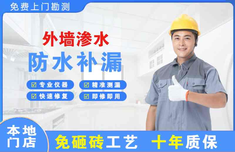 桑日外墙渗水维修